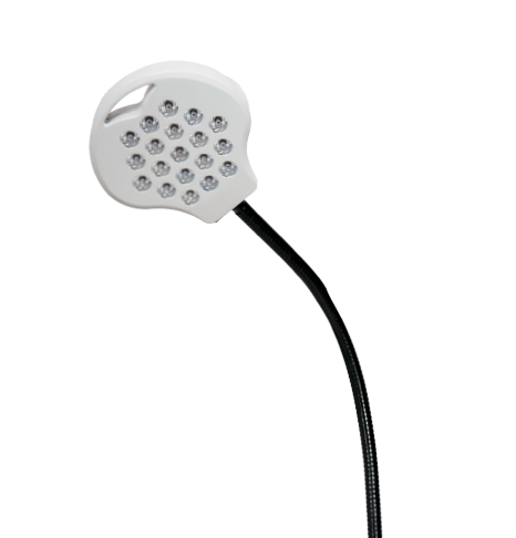 EL Neom Examination Light