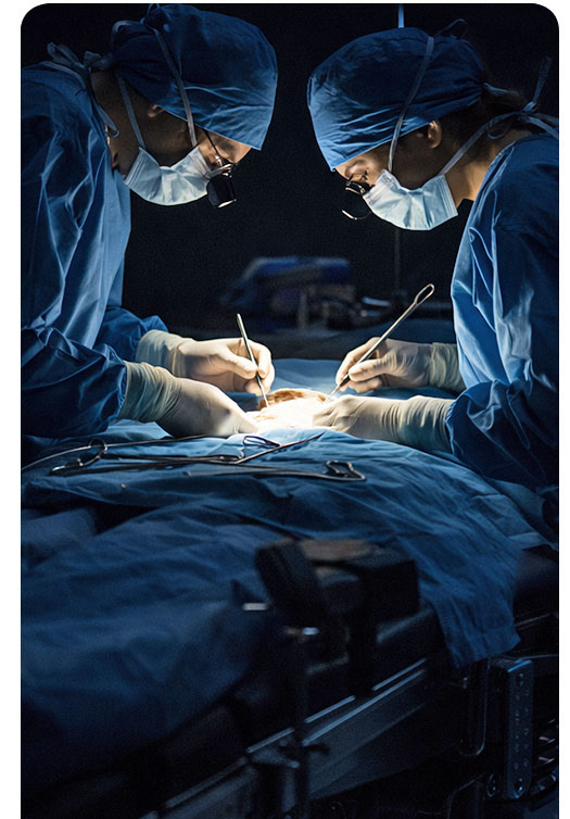 Healex-06 Operating Table